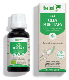 HerbalGem G64 Olea Europaea (Olive)