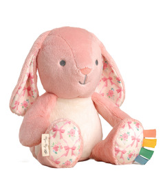 Itzy Ritzy Sweetie Snuggles Bunny