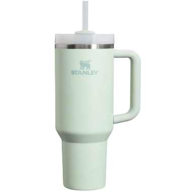 Buy Stanley The Quencher H2.0 FlowState Tumbler Mist at Well.ca | Free ...