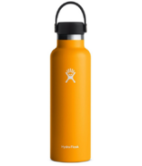 Hydro Flask Standard Flex Cap Starfish