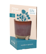 Modern Sprout Glow & Grow Candle Daisy Kit
