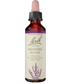 Bach Heather Flower Essence