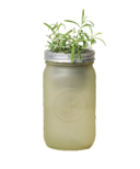 Modern Sprout Garden Jar Rosemary