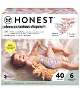 The Honest Company Club Box Diapers Sky's the Limit and Wingin It