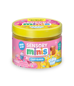 Creativity For Kids Sensory Minis Capybara
