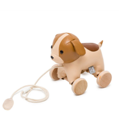 Little Big Friends Pull Along Friends Adrien the Dog