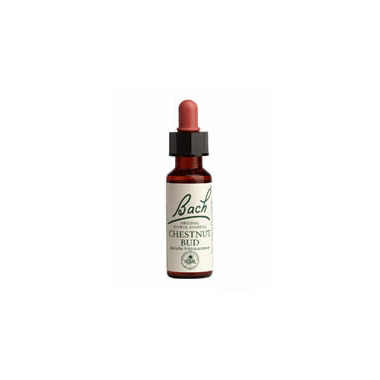 Bach Chestnut Bud Flower Essence Bach Chestnut Bud Flower Essence