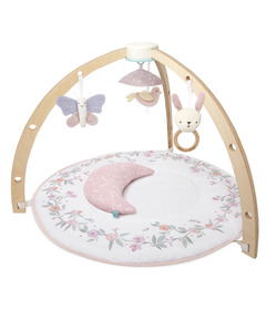 Aden + Anais Activity Gym Ma Fleur
