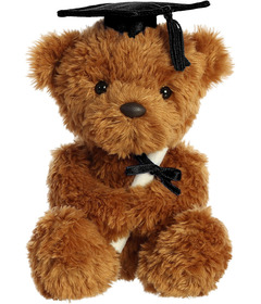 Aurora Graduation Wagner Bear