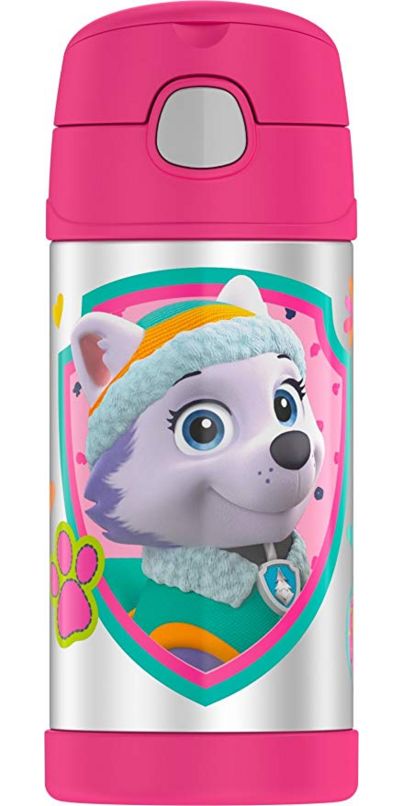 Thermos 12 oz. Kid's Funtainer Insulated Water Bottle - Paw Patrol Girl