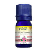 Divine Essence Rose Otto Extra 5% Organic Essential Oil