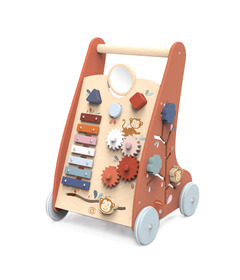 Speedy Monkey MultiActivity Walker