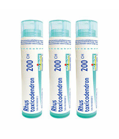 Boiron Rhus Toxicodendron 200CH