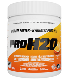 PVL PRO H2O Electrolyte Drink Mix Orange