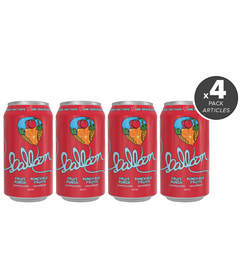 Balloon Sparkling Water Fruit Punch Bundle