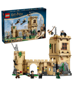 image of LEGO Harry Potter Hogwarts Castle Flying Lessons Building Toy with sku:334172