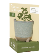 Modern Sprout Glow & Kit de bougies de culture pour basilic  