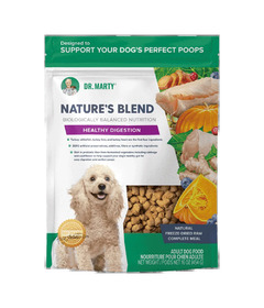 Dr. Marty Nature's Blend Healthy Digestion