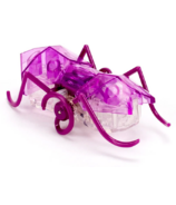 HEXBOT Micro Ant Purple