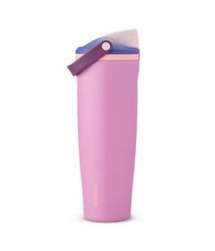 Owala FreeSip Sway Stainless Steel Purple Pretty in Purple