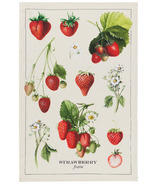 Now Designs Vintage Strawberries Lingette à vaisselle en coton