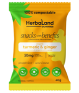 Herbaland Snacks With Benefits Ginger And Tumeric