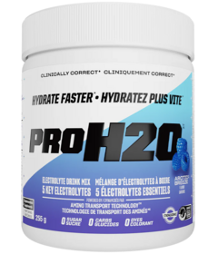 PVL PRO H2O Electrolyte Drink Mix Arctic Breeze
