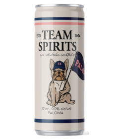 Team Spirits Non-Alcoholic Paloma 0.0% ABV