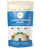 Out of the Ordinary Blueberry Cinnamon Oatmeal with Plant Based Protein