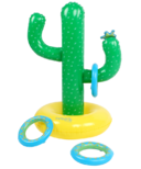 Incredible Novelties Cactus Ring Toss Game