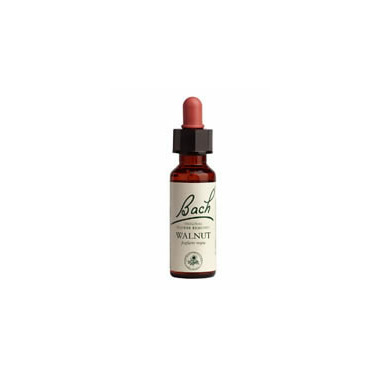 Bach Walnut Flower Essence Bach Walnut Flower Essence