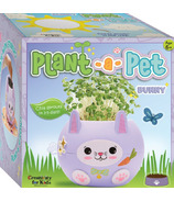 Lapin à planter pour enfants