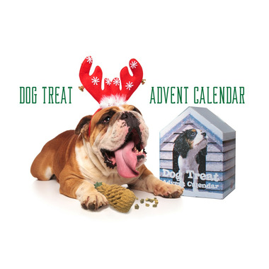 zoe dog advent calendar