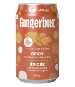 Gingerbug Prebiotic Organic Ginger Beer Spicy