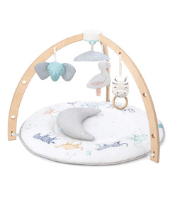 Aden + Anais Activity Gym Rising Star