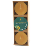 Honey Candles Essentials Votive Candles Rosemary Mint