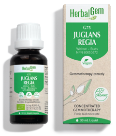 HerbalGem Juglans Regia (Walnut) G75