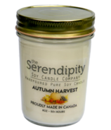 Serendipity Candles Mason Jar Autumn Harvest