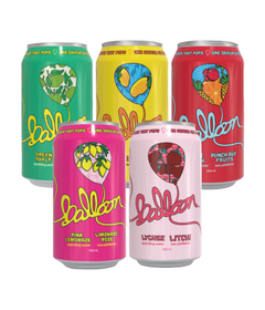 Balloon Sparkling Water Variety Bundle