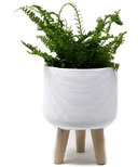 Natural Living Standing Planter Small White