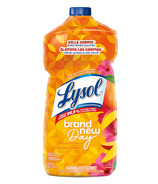Lysol Brand New Day Multi Surface Cleaner Pourable Mango Hibiscus