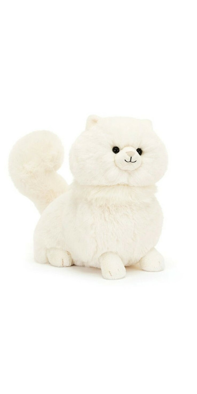 Carissa Persian Cat