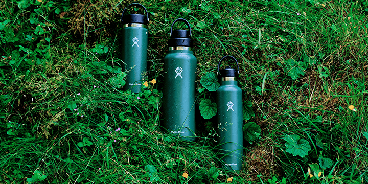 three hydro flask bottles placed in the leaves