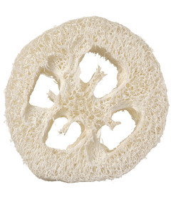 Well Kept Gourd Lofah