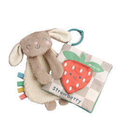 Itzy Ritzy Itzy Learn & Snuggle Bunny Set