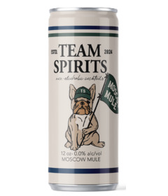 Team Spirits Non-Alcoholic Moscow Mule 0.0% ABV