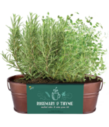 Buzzy Seeds Hammered Windowsill Garden Rosemary & Thyme