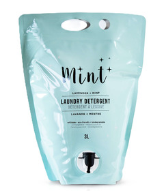 Mint Cleaning Laundry Detergent Refill Party Pouch