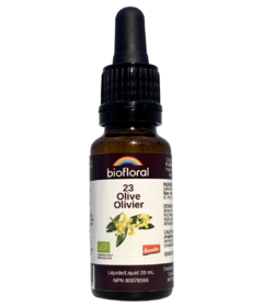 Biofloral No. 23 Olive