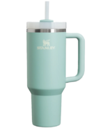 Stanley The Quencher H2.0 FlowState Tumbler Seafoam